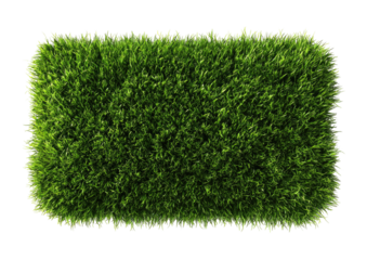 Lush, rectangular patch of vibrant green grass