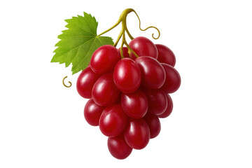 Red grapes bunch hanging with green leaf, fresh autumn fruit cluster, healthy eating and sweet snack
