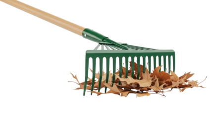 Green rake gathering autumn leaves transparent background cutout png