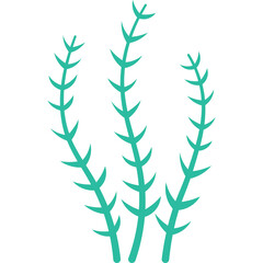 Three Green Aquatic Seaweed Plants With Transparent Background Graphic Illustration