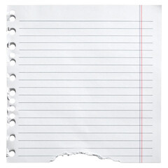 Single sheet of ripped or torn lined notebook paper with a hole punched edge. Isolated on transparent background.