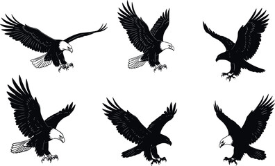 Stylized eagle illustrations in flight and swooping poses, talons extended, black-white feather detail - flavector