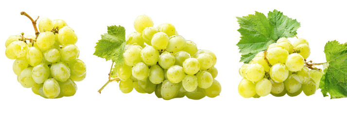 Three bunches of white grapes with leaves on black