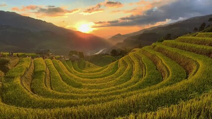 Aerial view of golden rice terraces at Mu Cang Chai town near Sapa city, North of Vietnam. Beautiful terraced rice field in harvest season in Yen Bai province. Travel and landscape concept.