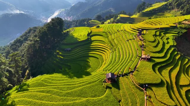 Aerial view of golden rice terraces at Mu Cang Chai town near Sapa city, North of Vietnam. Beautiful terraced rice field in harvest season in Yen Bai province. Travel and landscape concept.