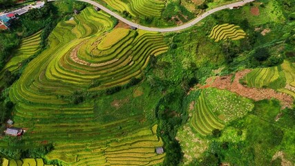 Aerial view of golden rice terraces at Mu Cang Chai town near Sapa city, North of Vietnam. Beautiful terraced rice field in harvest season in Yen Bai province. Travel and landscape concept.