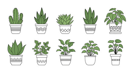 Collection of potted houseplants featuring diverse green foliage and decorative pots.