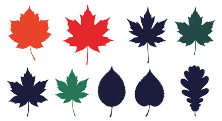 Collection of colorful maple and oak leaves in various autumnal colors and shapes.