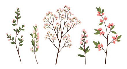 Collection of delicate pink flowering branches with green leaves on a white background.
