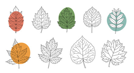 Collection of diverse hand-drawn leaf illustrations with colorful oval backgrounds.