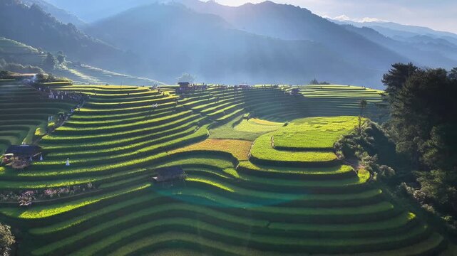 Aerial view of golden rice terraces at Mu Cang Chai town near Sapa city, North of Vietnam. Beautiful terraced rice field in harvest season in Yen Bai province. Travel and landscape concept.