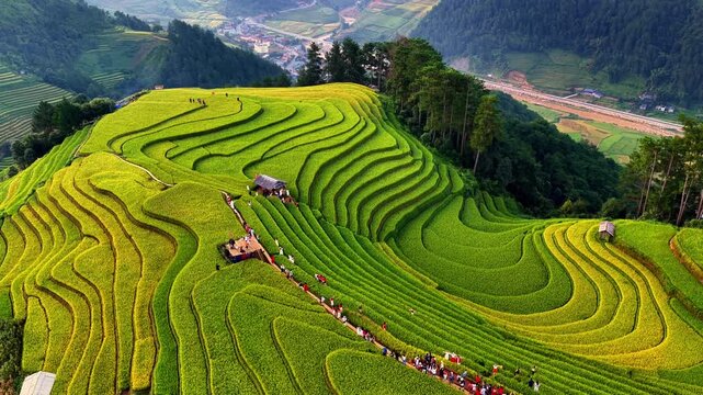 Aerial view of golden rice terraces at Mu Cang Chai town near Sapa city, North of Vietnam. Beautiful terraced rice field in harvest season in Yen Bai province. Travel and landscape concept.