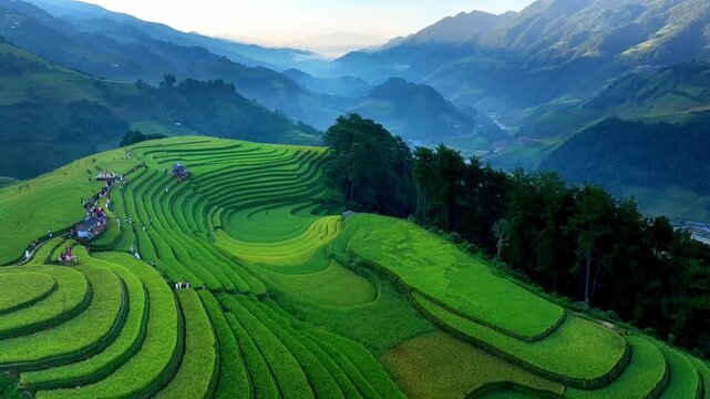 Aerial view of golden rice terraces at Mu Cang Chai town near Sapa city, North of Vietnam. Beautiful terraced rice field in harvest season in Yen Bai province. Travel and landscape concept.