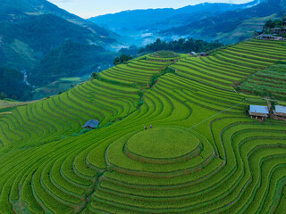 Fototapeta premium Aerial view of golden rice terraces at Mu Cang Chai town near Sapa city, North of Vietnam. Beautiful terraced rice field in harvest season in Yen Bai province. Travel and landscape concept.