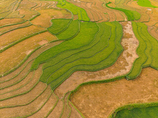 Obraz premium Aerial view of golden rice terraces at Mu Cang Chai town near Sapa city, North of Vietnam. Beautiful terraced rice field in harvest season in Yen Bai province.