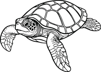 Line turtle swimming with curved shell details 3.