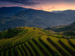 Aerial view of golden rice terraces at Mu Cang Chai town near Sapa city, North of Vietnam....