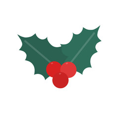 251122_크리스마스 열매