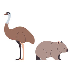 Fototapeta premium Emu and wombat standing side by side, showcasing australian wildlife, isolated on white.