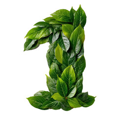 Green Number One: A vibrant, verdant one crafted entirely from lush green leaves, a testament to nature's artistry and the significance of a single element.