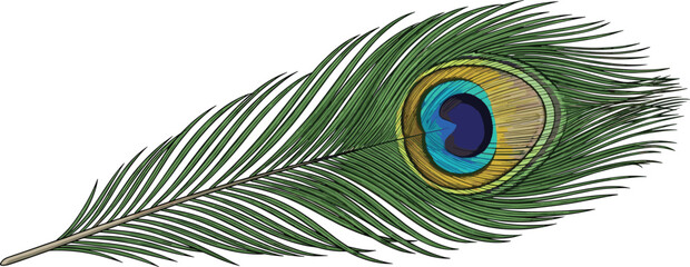 Fototapeta premium Stylized peacock feather with eye pattern, vibrant green and blue colors, elegant nature motif, flat vector illustration
