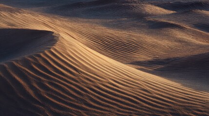 Fototapeta premium A detailed view of sculpted sand dunes showcasing warm tones and textures.