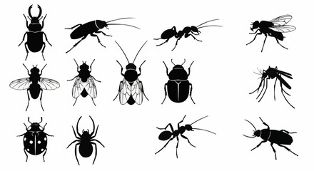 Assorted Insect Silhouettes Diverse Collection of Bug Outlines for Designs and Educational Resources - Detailed Vector Art