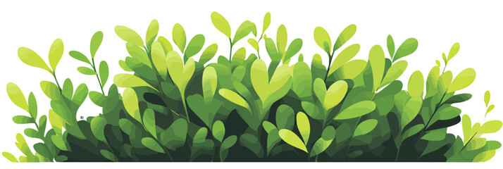 Fototapeta premium Vector illustration of lush green bush with dense leaves and fresh natural foliage in flat minimalist style for gardening and nature backgrounds