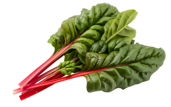 Fresh red stem swiss chard leaves isolated on transparent background
