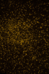 Christmas background. Festive abstract background with bokeh defocused lights and stars