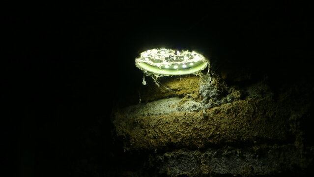 A small, cobweb-covered circular opening in a rough, textured stone or concrete wall emits a glowing, diffused light from within, creating a mysterious and contrasting visual against the dark void.