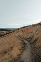 Trail at Hillside to Hollow Reserve, Boise Idaho