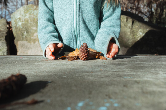 Child playing with pinecone and autumn leaves outdoors on a table