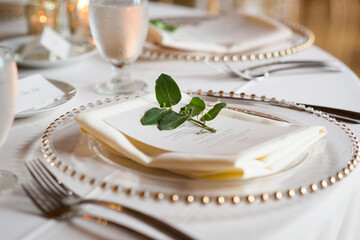 Minimalist Wedding Place Setting with Greenery Accent