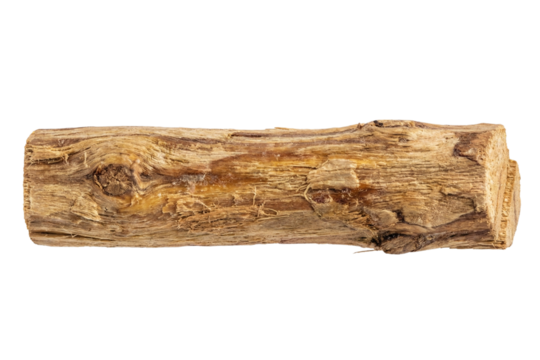 Natural raw Palo Santo holy wood stick isolated on white background