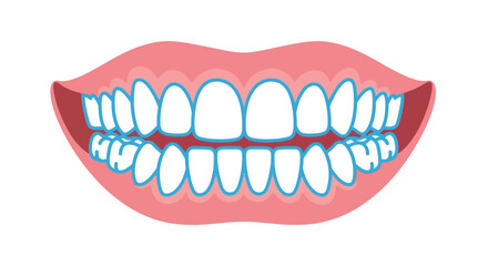 Human mouth with healthy white teeth and pink gums, showing dental structure and oral hygiene concept for dentistry, orthodontics, medical care, and wellness illustrations
