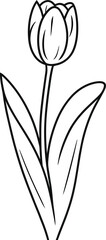 Simple black and white outline of a tulip flower floral