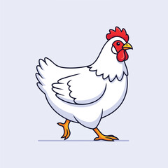 Fototapeta premium White Hen Walking Isolated on Light Background.