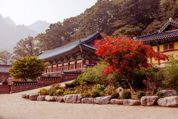 Buddhist temple buildings high in the mountains in autumn. Seoraksan National Park. mountain autumn...