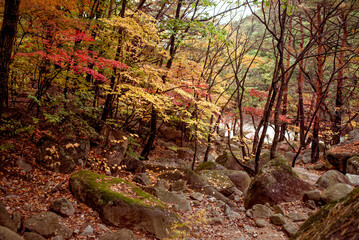 Seoraksan National Park, South Korea, autumn landscape in the mountains.