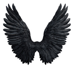 Stylized black wings pair png fantasy png angel png feather png silhouette png tattoo png emblem png dark png design png art png transparent background image [memory:6]