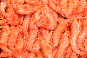 Fresh prawns at the fish stall in the Mercado Central de Atarazanas in the old town of Málaga, Andalusia, Spain