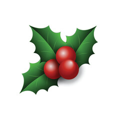 Christmas Holly Design with Red Berries. Realistic holly berries vector isolated on white background.
