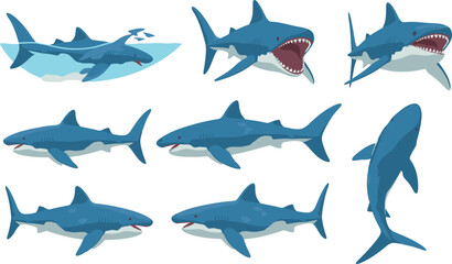 Collection of nine different shark illustrations in various poses and angles.
