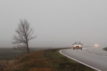 Cars on the road in the evening during fog