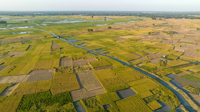 Aerial View of Rice Fields and Water Canals &ndash; Rural Harvest Season Landscape