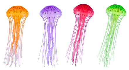 olorful jellyfis float gently against a clean white background