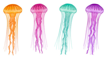 olorful jellyfis float gently against a clean white background