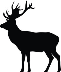 Majestic stag silhouette on white background