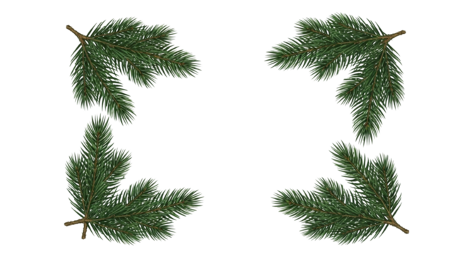 Four realistic fir tree branches forming a decorative corner frame design element for christmas and winter holiday greeting card or invitation, isolated on transparent background